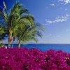 Vacation Rental